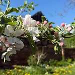 St. Johannis Werben (Saxony-Anhalt)