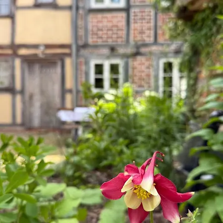 St. Johannis Ferienhaus Werben (Saxony-Anhalt)