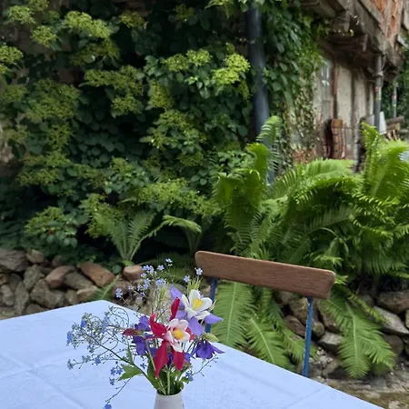 Ferienhaus St. Johannis