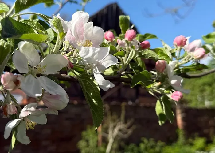 St. Johannis Werben (Saxony-Anhalt)
