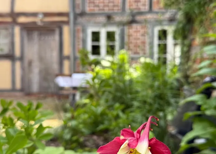 St. Johannis Tatil Evi Werben (Saxony-Anhalt)